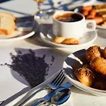 Hotel Vigla 4*