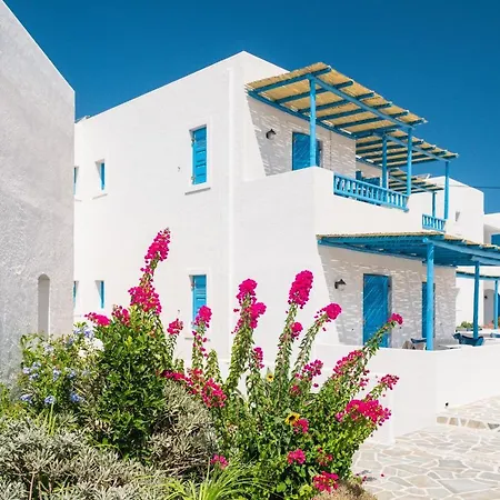 Hotel Vigla 4*
